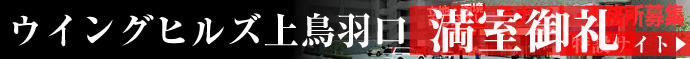 �����󥰥ҥ륺��Ļ�����ƥʥ���罸